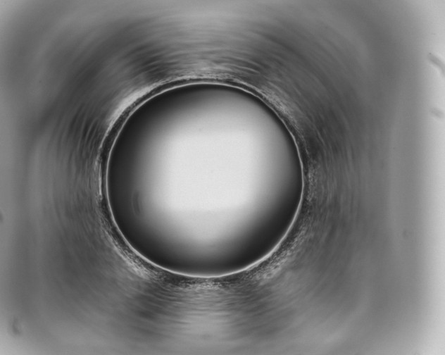 X0000097300838200802221333