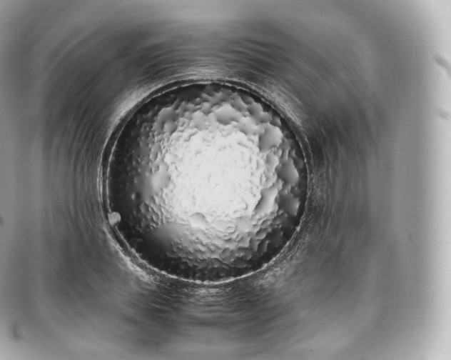 X0000097300839200802221333