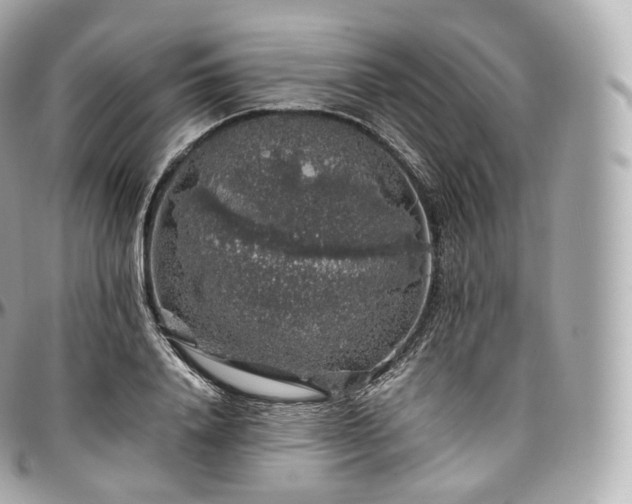 X0000097300840200802221333