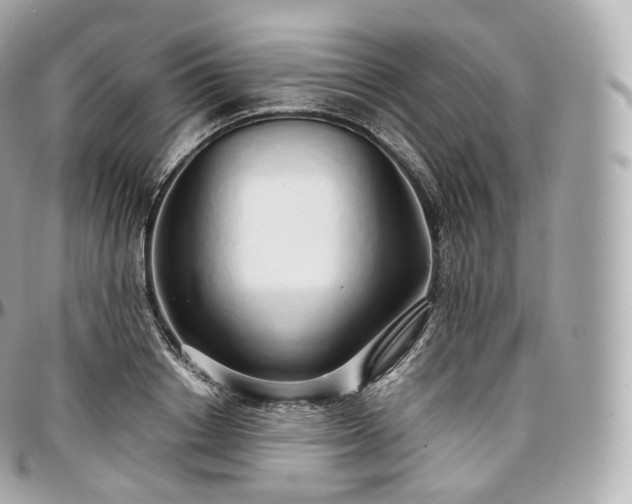 X0000097300842200802221334