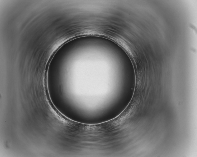 X0000097300847200802221334