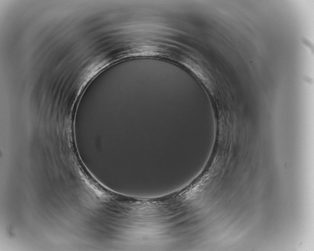 X0000097300850200802221334