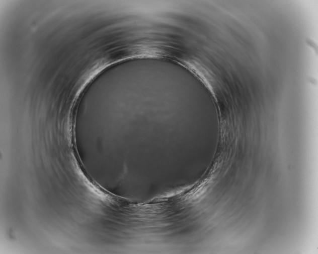 X0000097300851200802221334
