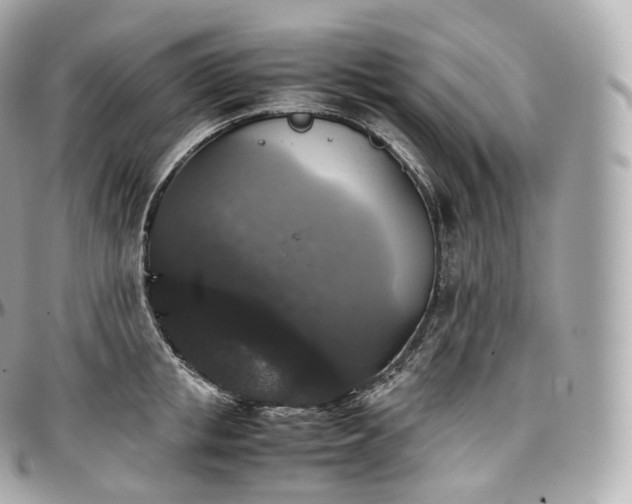 X0000097300853200802221334