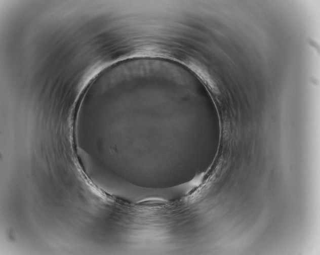 X0000097300854200802221334