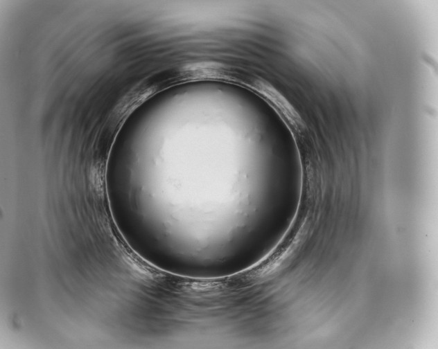 X0000097300857200802221334