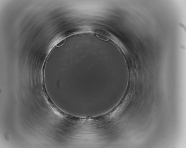 X0000097300858200802221334