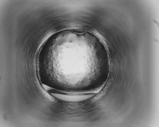 X0000097300859200802221334