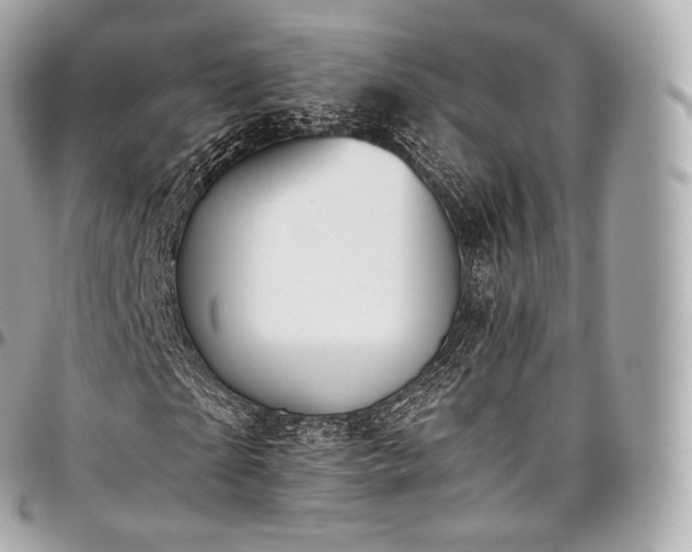X0000097300865200802221333