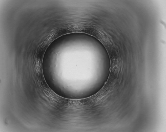 X0000097300866200802221333