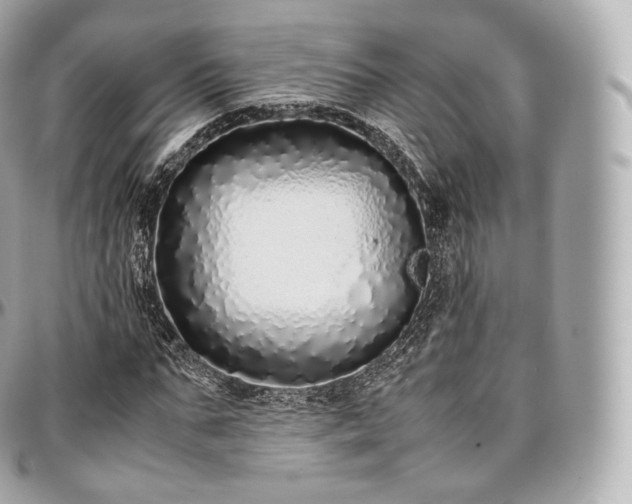 X0000097300871200802221333