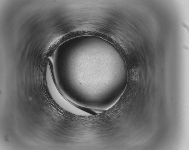 X0000097300872200802221333