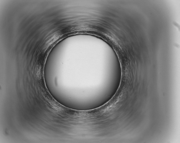 X0000097300873200802221333