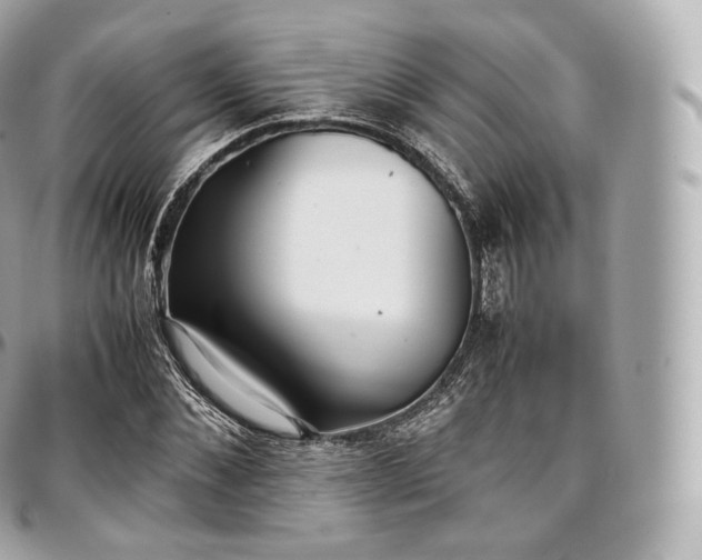 X0000097300876200802221333