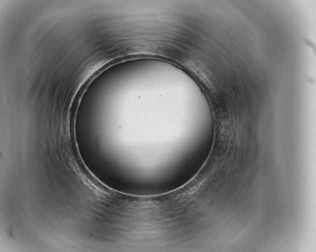 X0000097300884200802221333