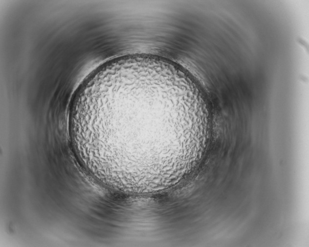 X0000097300886200802221333