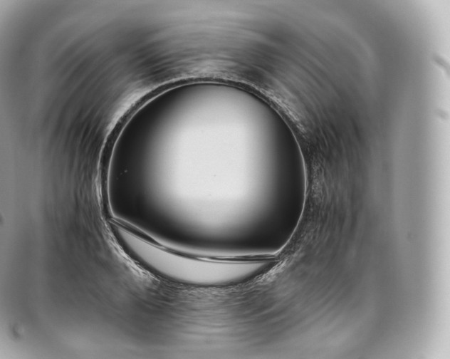 X0000097300888200802221333