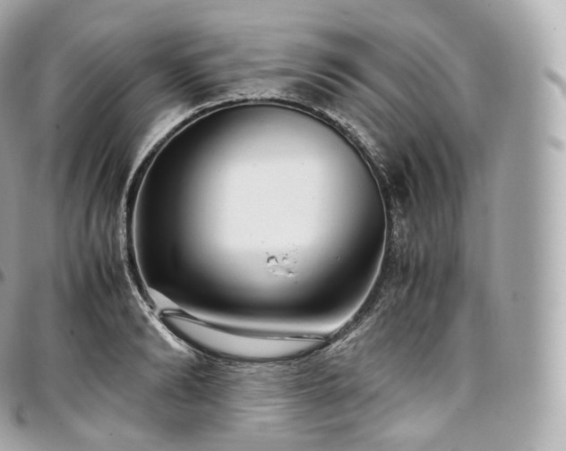 X0000097300894200802221333