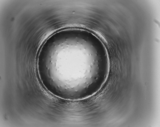 X0000097300895200802221333
