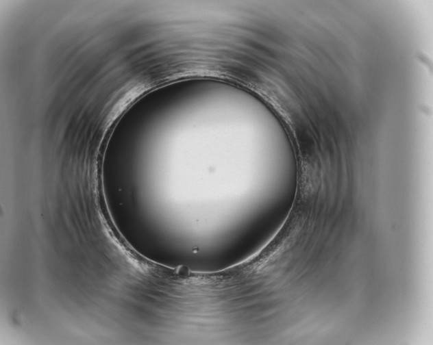 X0000097300898200802221333
