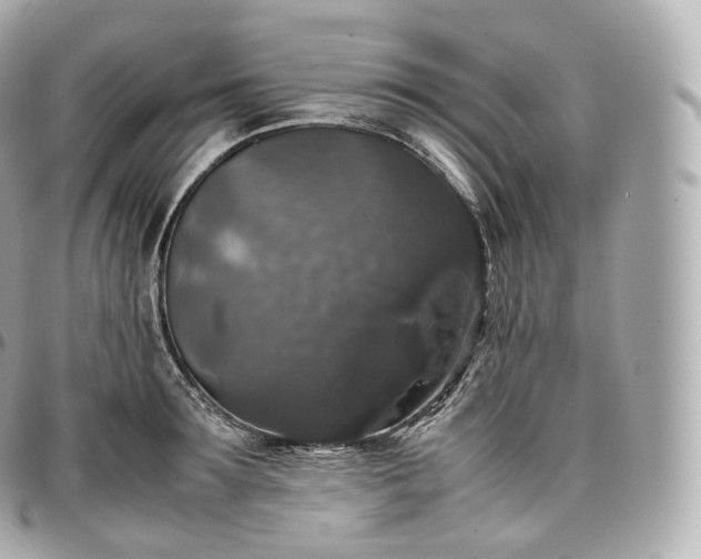 X0000097300899200802221333