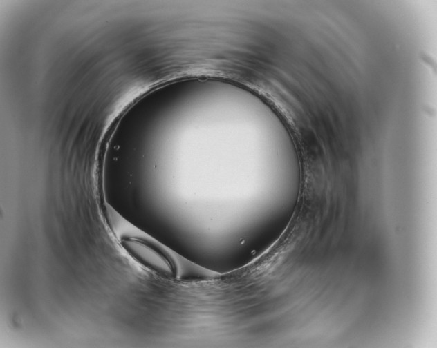 X0000097300902200802221332