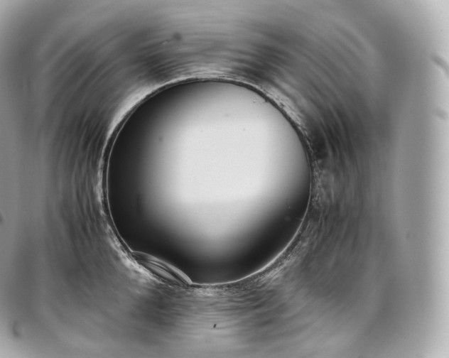X0000097300904200802221332