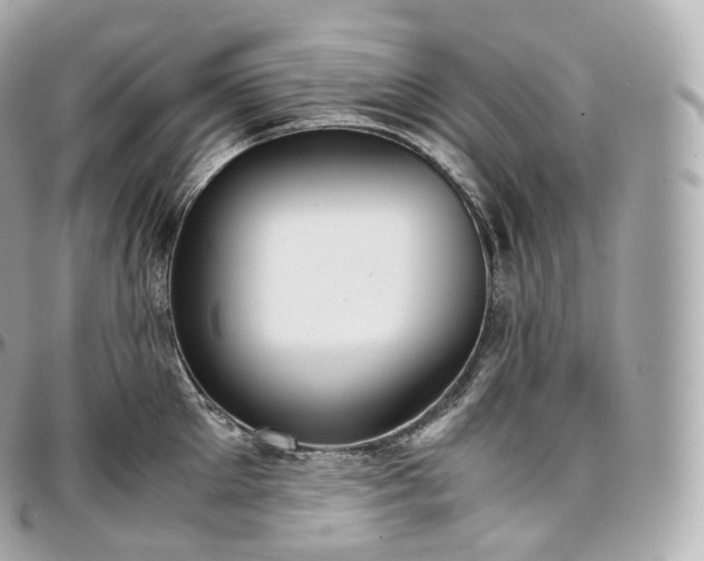 X0000097300905200802221332