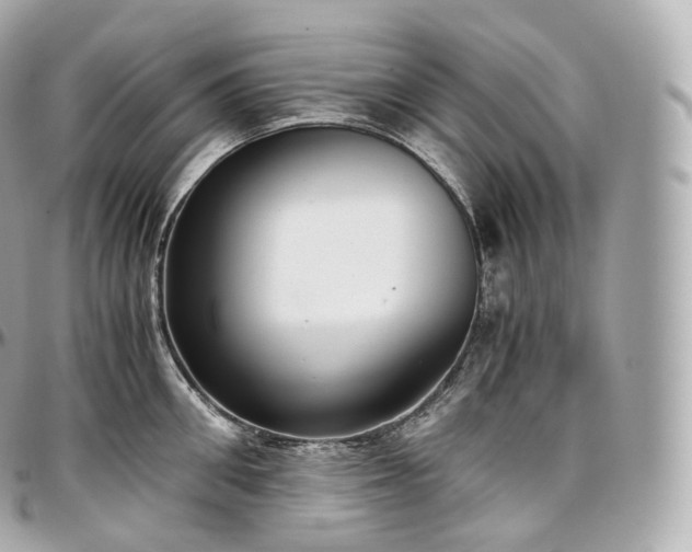 X0000097300906200802221332
