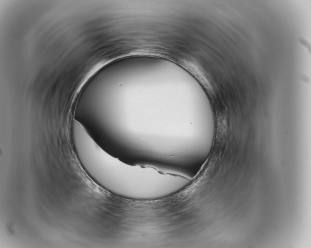 X0000097300908200802221332