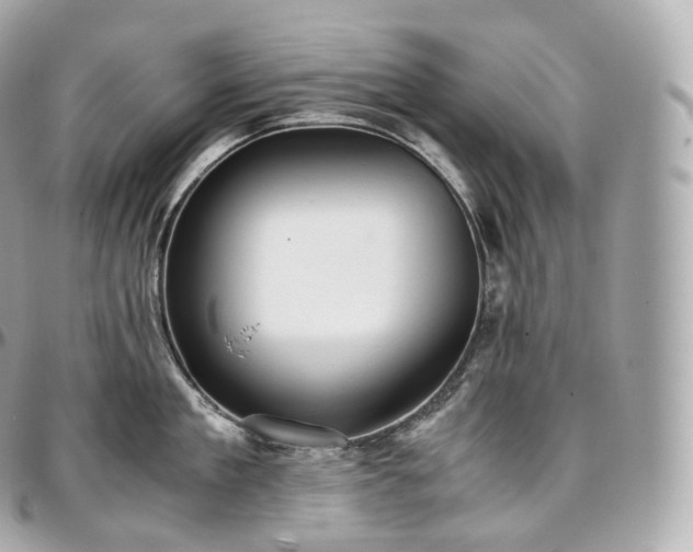 X0000097300909200802221332