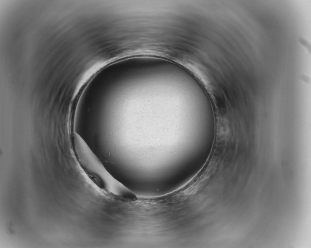 X0000097300910200802221332