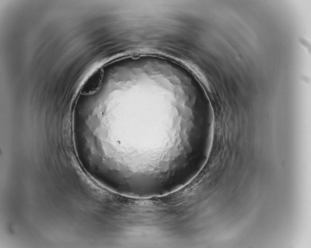 X0000097300911200802221332