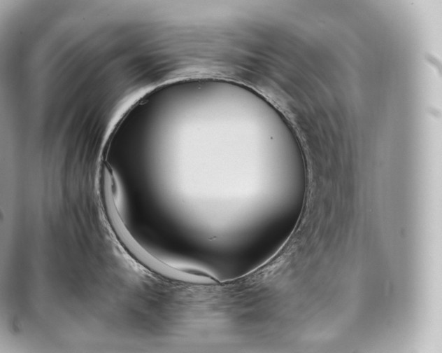 X0000097300912200802221332