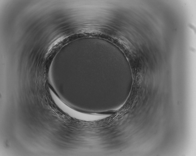 X0000097300920200802221332