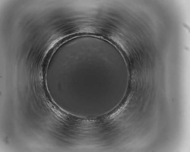X0000097300923200802221332