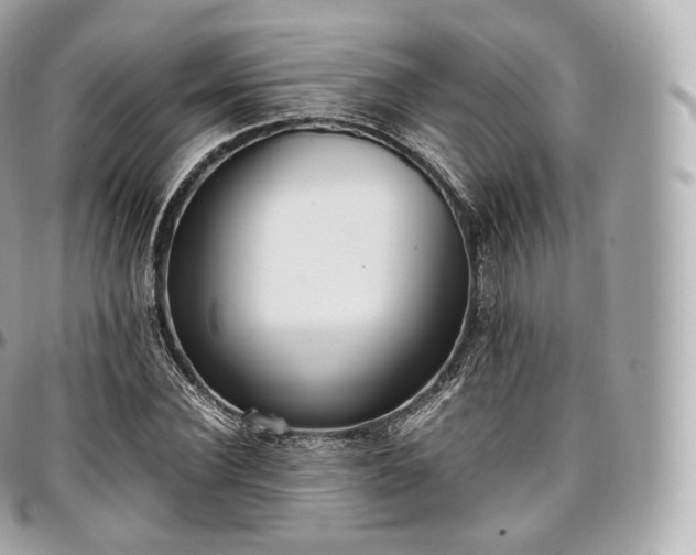 X0000097300924200802221332