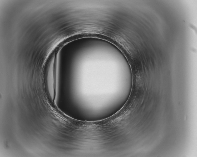 X0000097300926200802221332
