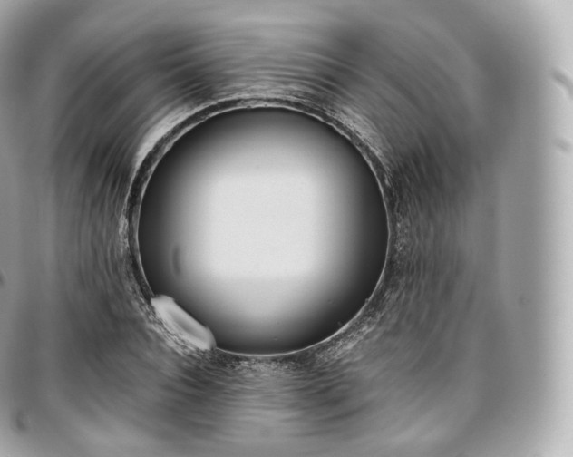 X0000097300928200802221332