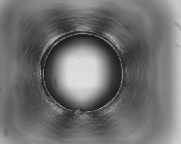 X0000097300931200802221332