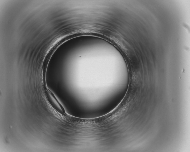 X0000097300934200802221332