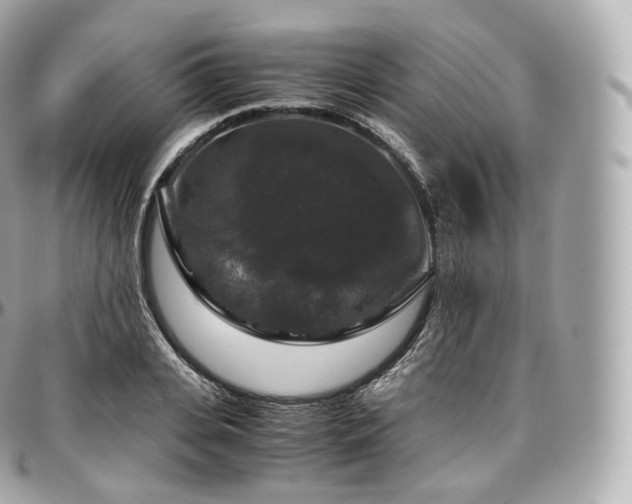 X0000097300935200802221332