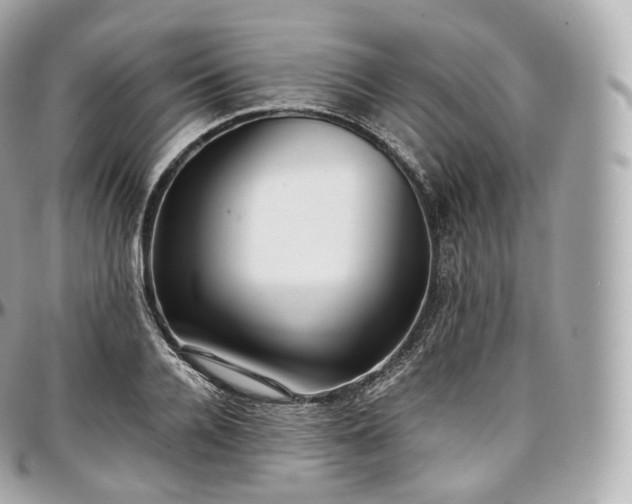 X0000097300936200802221332