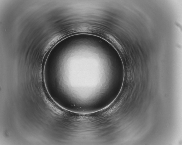X0000097300938200802221332