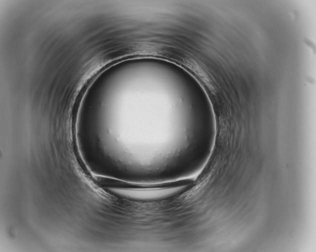 X0000097300939200802221332