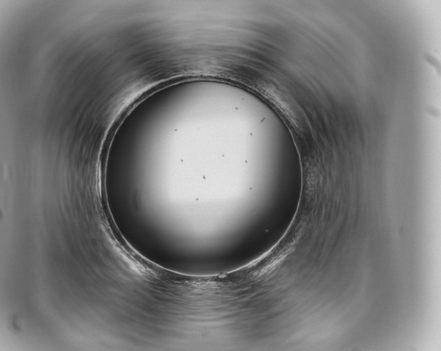 X0000097300940200802221332
