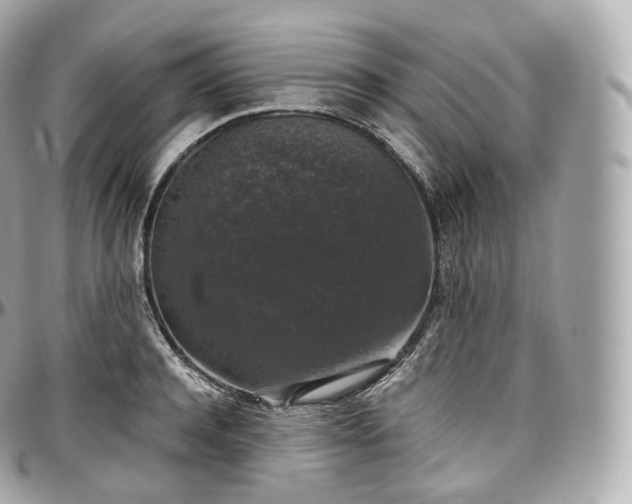 X0000097300944200802221332