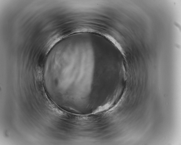 X0000097300945200802221332