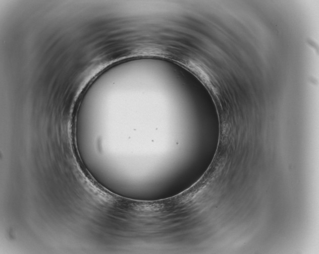 X0000097300947200802221332