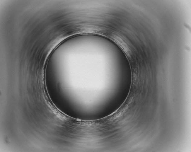 X0000097300948200802221332